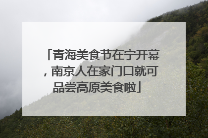 青海美食节在宁开幕，南京人在家门口就可品尝高原美食啦
