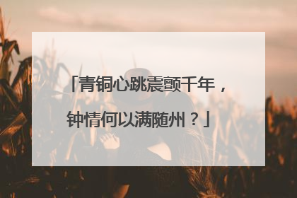 青铜心跳震颤千年，钟情何以满随州？