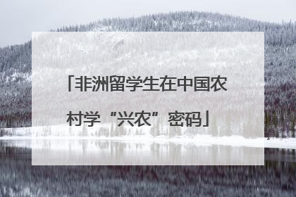 非洲留学生在中国农村学“兴农”密码