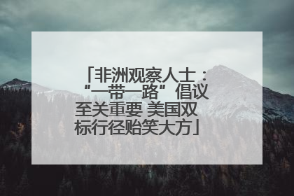 非洲观察人士：“一带一路”倡议至关重要 美国双标行径贻笑大方