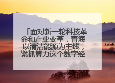 面对新一轮科技革命和产业变革，青海以清洁能源为主线，紧抓算力这个数字经济的“血液”、科技主权的“筹码”、产业升级的“杠杆”、绿色转型的“支点”，勇于撬动国家“双碳”战略、“东数西算”工程重大发展新机遇