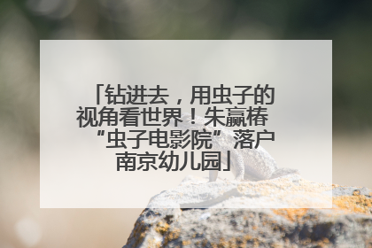 钻进去，用虫子的视角看世界！朱赢椿“虫子电影院”落户南京幼儿园