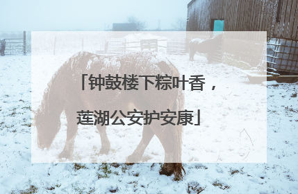 钟鼓楼下粽叶香，莲湖公安护安康