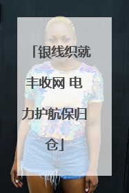 银线织就丰收网 电力护航保归仓