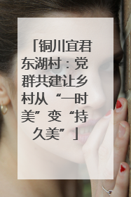 铜川宜君东湖村：党群共建让乡村从“一时美”变“持久美”