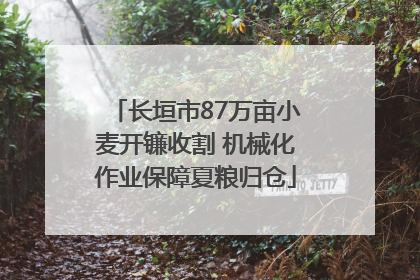 长垣市87万亩小麦开镰收割 机械化作业保障夏粮归仓