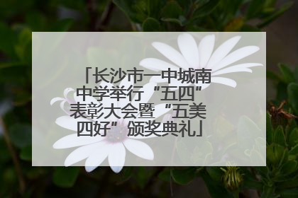 长沙市一中城南中学举行“五四”表彰大会暨“五美四好”颁奖典礼
