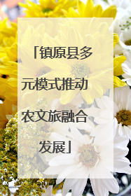 镇原县多元模式推动农文旅融合发展