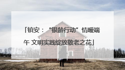 镇安：“银龄行动”情暖端午 文明实践绽放敬老之花