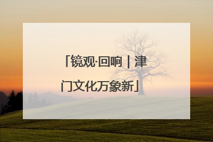 镜观·回响｜津门文化万象新
