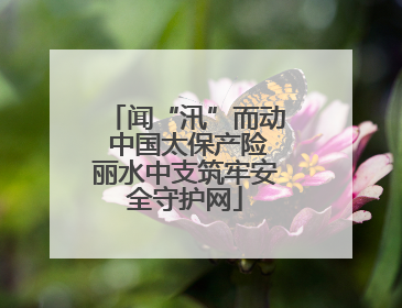 闻“汛”而动 中国太保产险丽水中支筑牢安全守护网