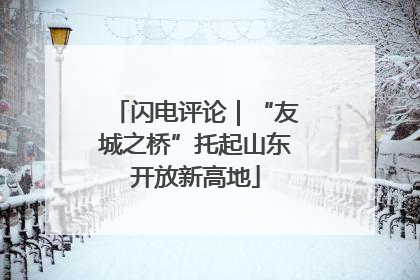 闪电评论｜“友城之桥”托起山东开放新高地
