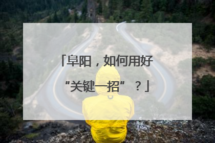 阜阳，如何用好“关键一招”？