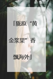 陇原“黄金浆果”香飘海外