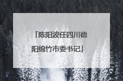 陈阳波任四川德阳绵竹市委书记