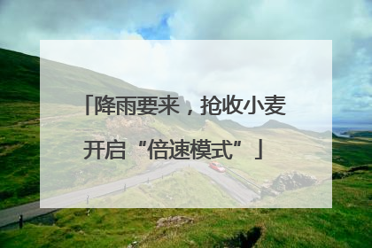 降雨要来，抢收小麦开启“倍速模式”