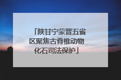 陕甘宁蒙晋五省区聚焦古脊椎动物化石司法保护