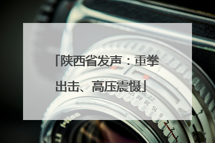 陕西省发声：重拳出击、高压震慑
