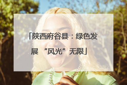 陕西府谷县：绿色发展 “风光”无限