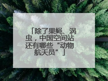 除了果蝇、涡虫，中国空间站还有哪些“动物航天员”