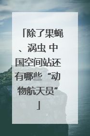 除了果蝇、涡虫 中国空间站还有哪些“动物航天员”