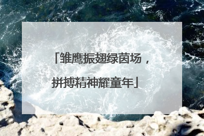 雏鹰振翅绿茵场，拼搏精神耀童年