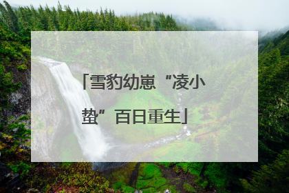 雪豹幼崽“凌小蛰”百日重生