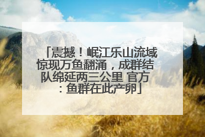震撼！岷江乐山流域惊现万鱼翻涌，成群结队绵延两三公里 官方：鱼群在此产卵