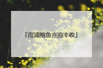 霞浦鲍鱼喜迎丰收