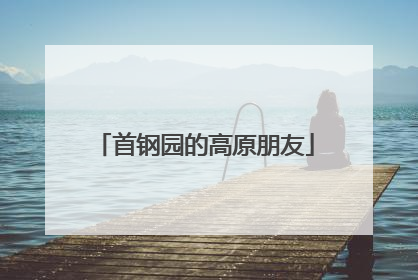 首钢园的高原朋友
