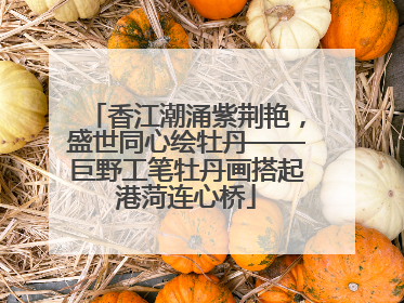 香江潮涌紫荆艳，盛世同心绘牡丹——巨野工笔牡丹画搭起港菏连心桥
