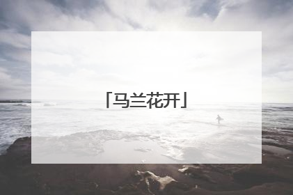 马兰花开