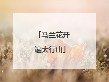 马兰花开遍太行山