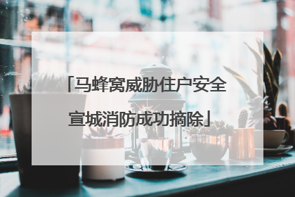 马蜂窝威胁住户安全 宣城消防成功摘除