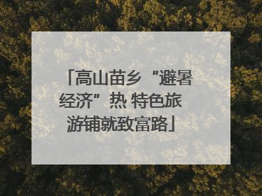 高山苗乡“避暑经济”热 特色旅游铺就致富路