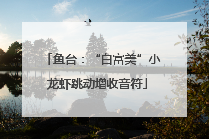 鱼台：“白富美”小龙虾跳动增收音符