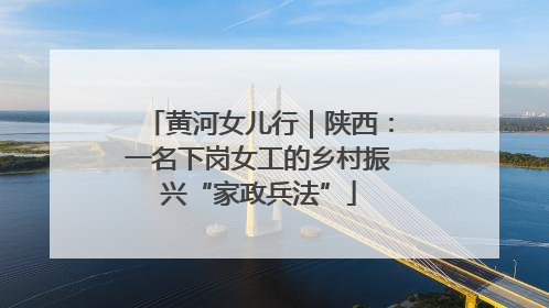 黄河女儿行｜陕西：一名下岗女工的乡村振兴“家政兵法”