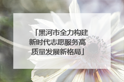 黑河市全力构建新时代志愿服务高质量发展新格局