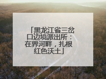 黑龙江省三岔口边境派出所：在界河畔，扎根红色沃土