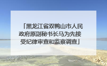 黑龙江省双鸭山市人民政府原副秘书长马为先接受纪律审查和监察调查