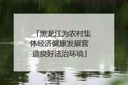 黑龙江为农村集体经济健康发展营造良好法治环境