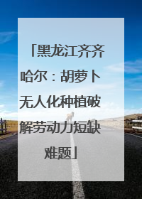 黑龙江齐齐哈尔：胡萝卜无人化种植破解劳动力短缺难题