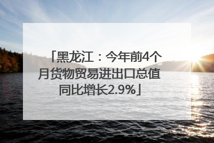 黑龙江：今年前4个月货物贸易进出口总值同比增长2.9%