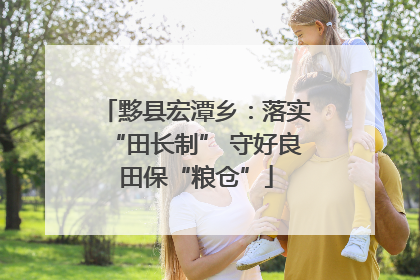 黟县宏潭乡：落实“田长制” 守好良田保“粮仓”