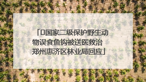 ﻿国家二级保护野生动物误食鱼钩被送医救治 郑州惠济区林业局回应