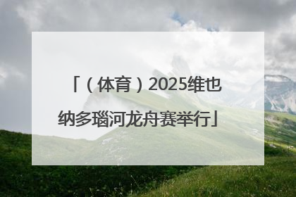 （体育）2025维也纳多瑙河龙舟赛举行
