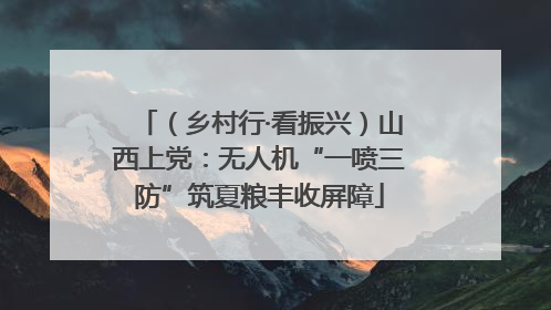 （乡村行·看振兴）山西上党：无人机“一喷三防”筑夏粮丰收屏障