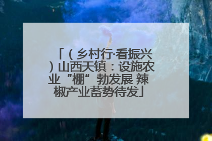 （乡村行·看振兴）山西天镇：设施农业“棚”勃发展 辣椒产业蓄势待发