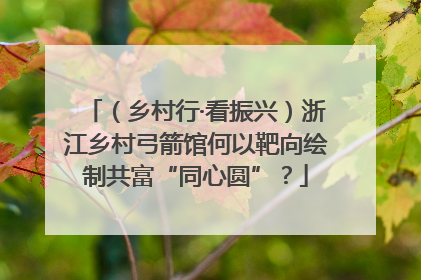 （乡村行·看振兴）浙江乡村弓箭馆何以靶向绘制共富“同心圆”？