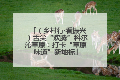 (乡村行·看振兴)舌尖“欢腾”科尔沁草原:打卡“草原味道”新地标